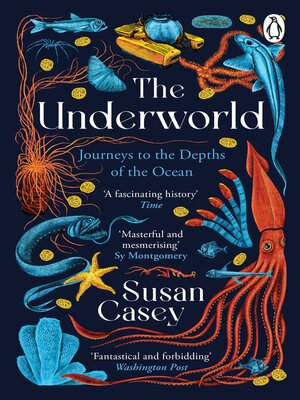 cover image of The Underworld